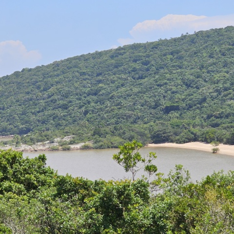 Revista Todo Dia é Dia da Natureza: pensar local, agir global