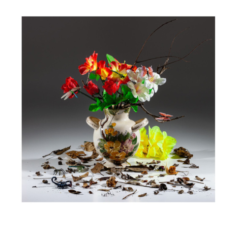 Museu de Arte Contemporânea do RS aproxima público do colecionismo de arte em duas exposições na CCMQ